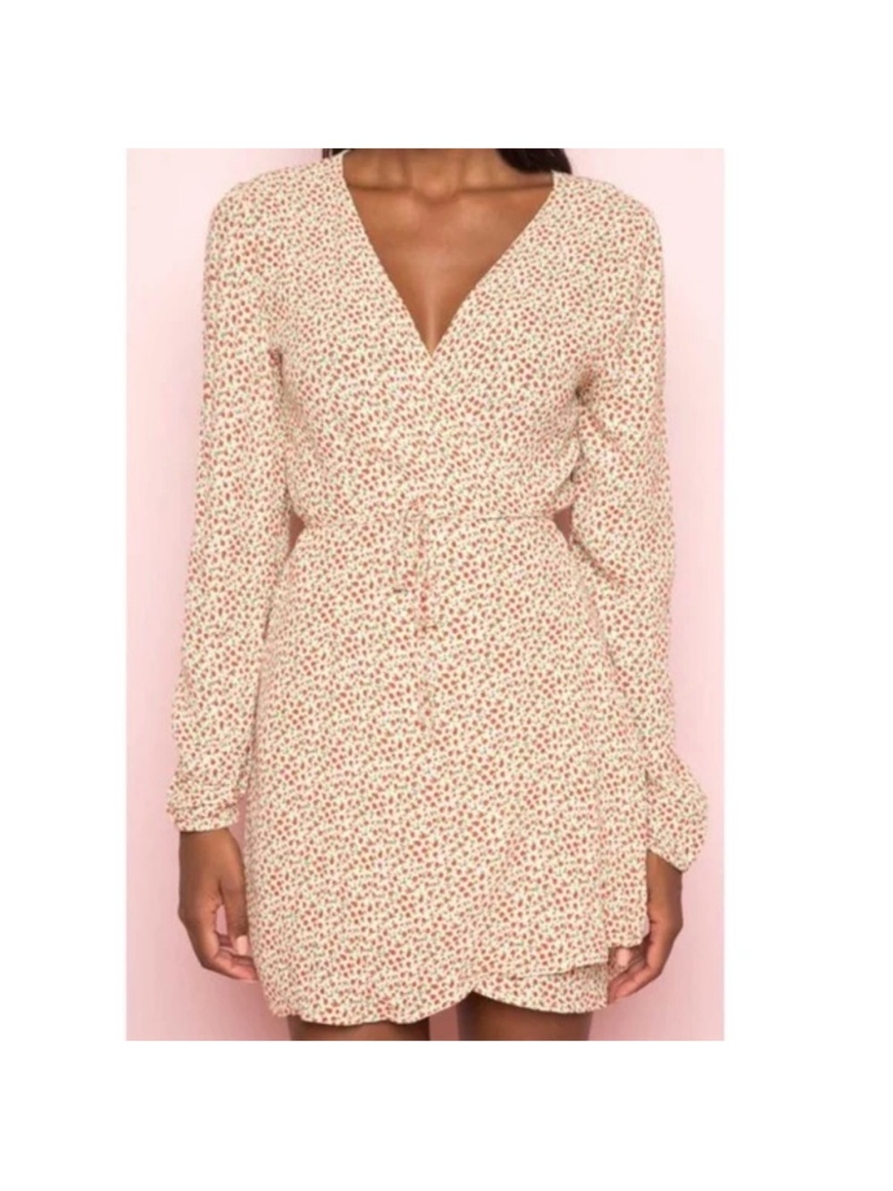 Brandy Melville Cream Mini Dress with Red Floral Print